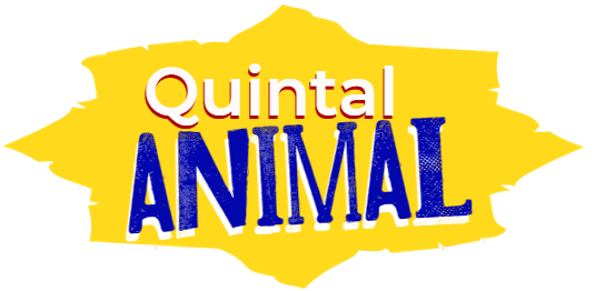 Quintal Animal