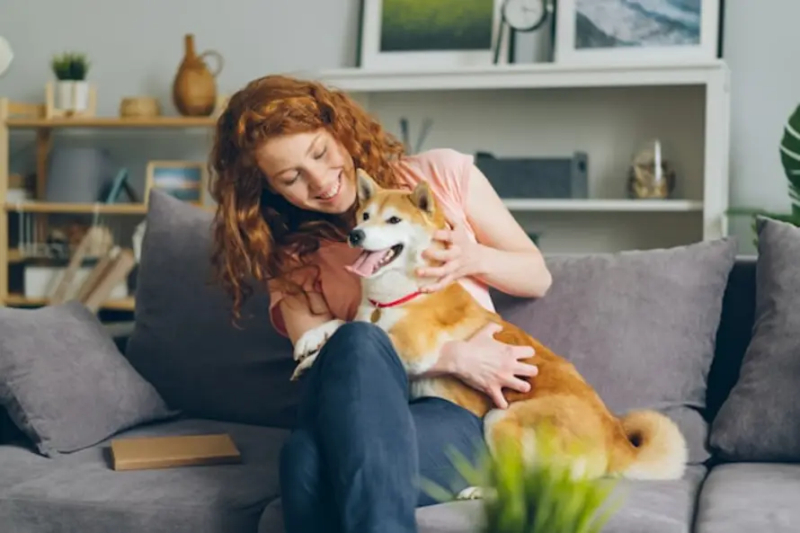 Como descobrir se um apartamento à venda em Balneário Camboriú é pet friendly?